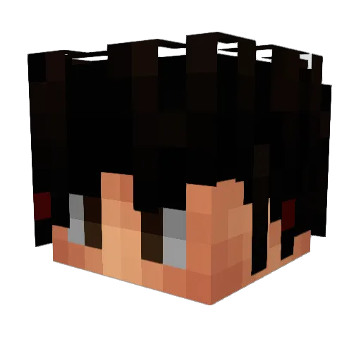 _Im2Pro4You_ Minecraft avatar head, 3D render