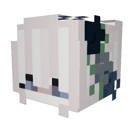 _ImSplooch Minecraft avatar head, 3D render