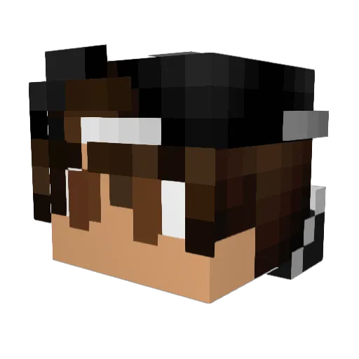_ImmaRekt_ Minecraft avatar head, 3D render