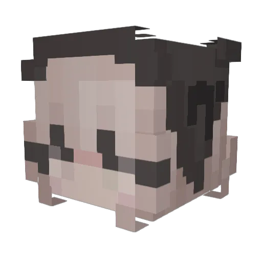 _Incriipted_ Minecraft avatar head, 3D render