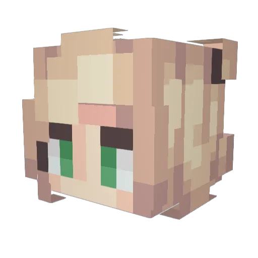 _Indie Minecraft avatar head, 3D render