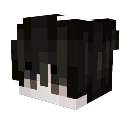 _Inf1n1ty_ Minecraft avatar head, 3D render