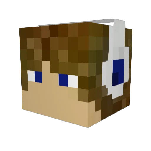 _InfectedPvP_ Minecraft avatar head, 3D render