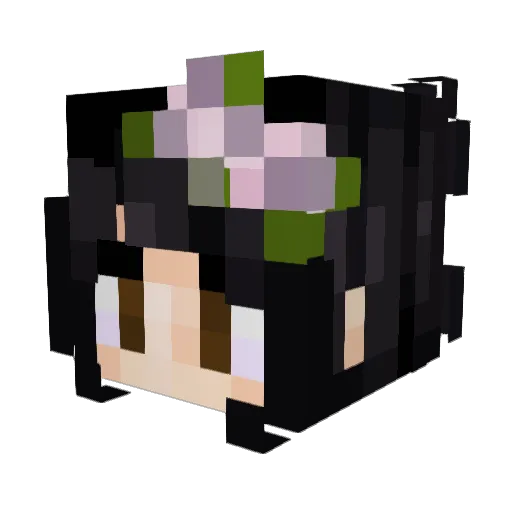 _InfiniteGalaxy_ Minecraft avatar head, 3D render