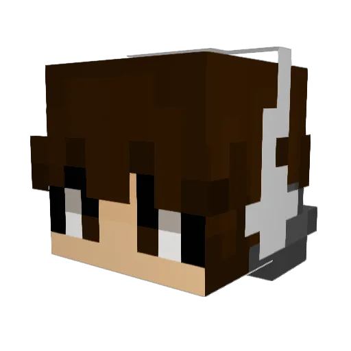 _Inspyre_ Minecraft avatar head, 3D render