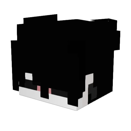 _InternetExx Minecraft avatar head, 3D render