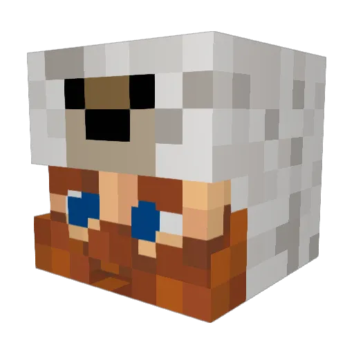 _Ir0nside_ Minecraft avatar head, 3D render