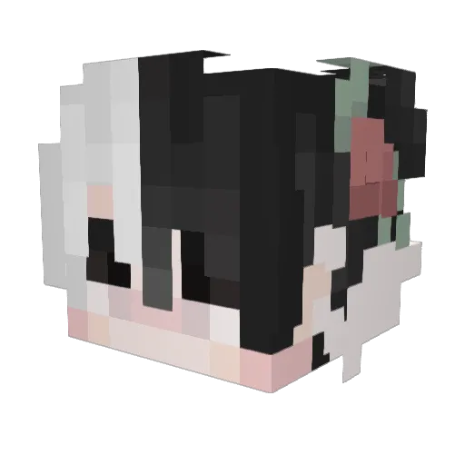 _ItsMyLife_ Minecraft avatar head, 3D render