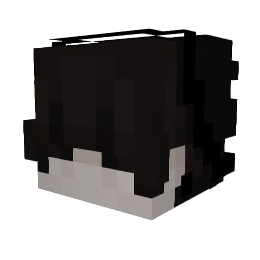 _ItsPapillon503 Minecraft avatar head, 3D render