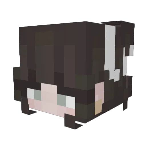 _ItzYaPerson_ Minecraft avatar head, 3D render