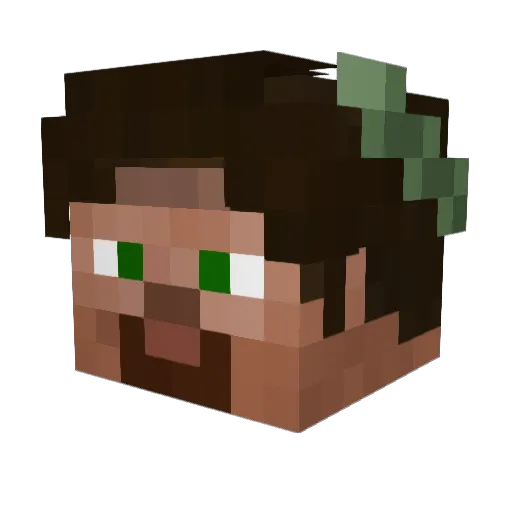 _Iucas_ Minecraft avatar head, 3D render
