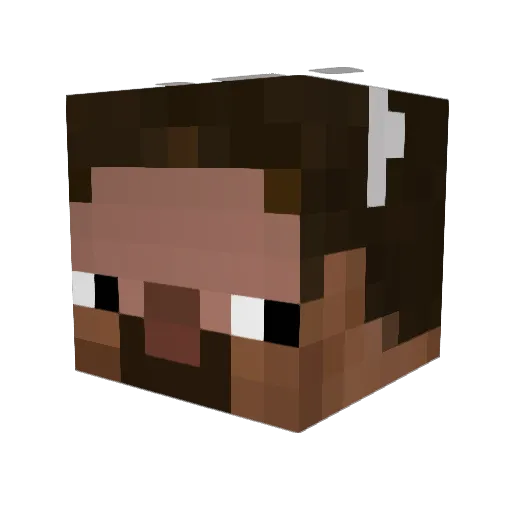 _J0INT0 Minecraft avatar head, 3D render