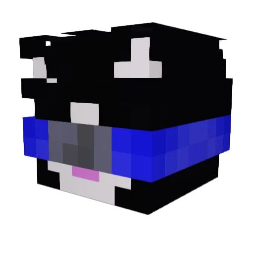 _J0I_ Minecraft avatar head, 3D render