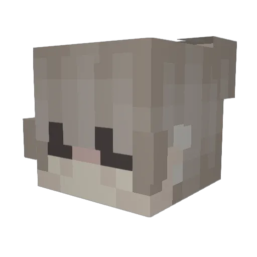 _JAXZ Minecraft avatar head, 3D render