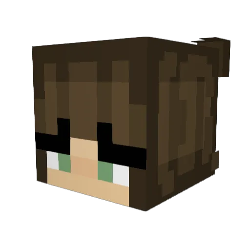 _JESS5 Minecraft avatar head, 3D render