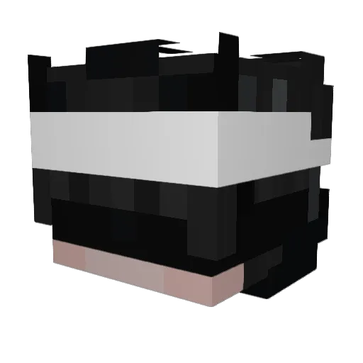 _JOCA Minecraft avatar head, 3D render