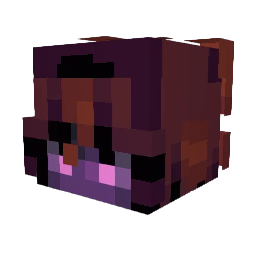 _Jaap_ Minecraft avatar head, 3D render