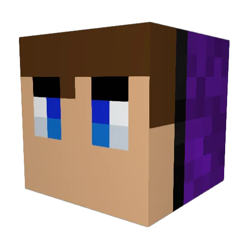 _Jaapelis_ Minecraft avatar head, 3D render