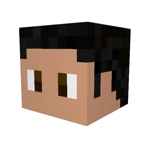 _JalaPena_ Minecraft avatar head, 3D render