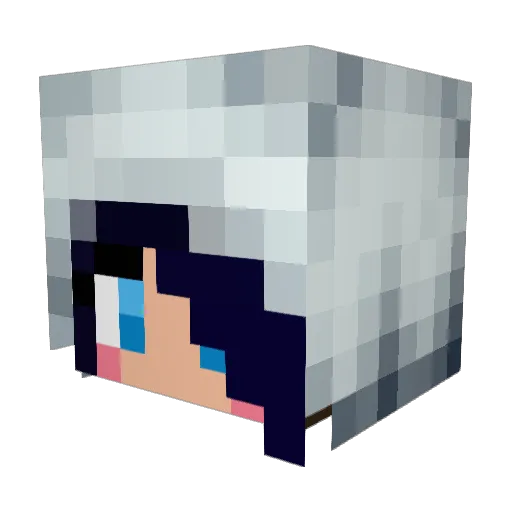 _James_08 Minecraft avatar head, 3D render