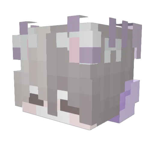 _Jeff1017 Minecraft avatar head, 3D render