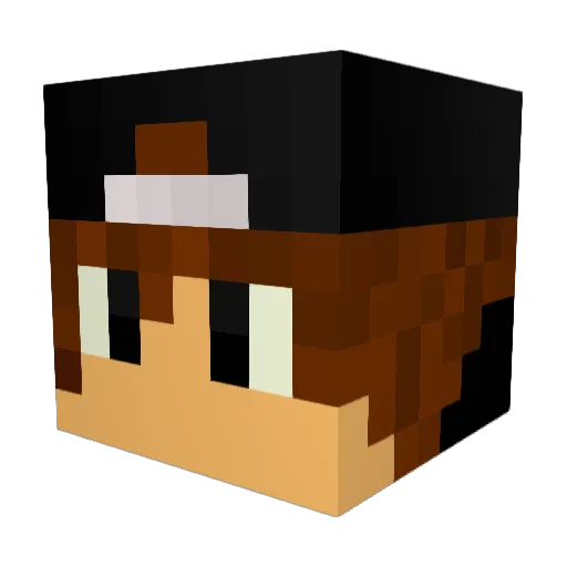 _Jenji_ Minecraft avatar head, 3D render