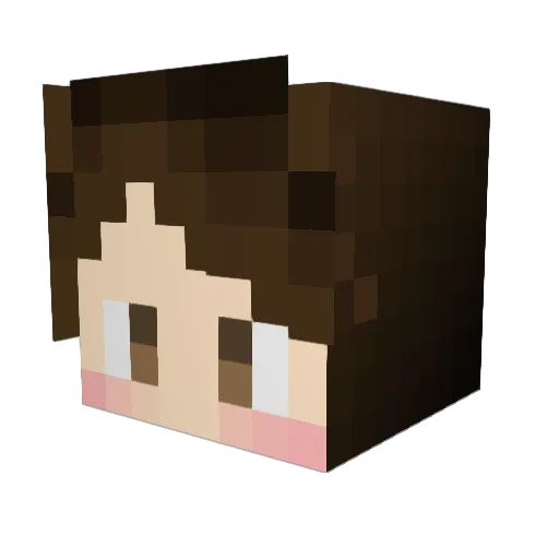 _JeonJungkook Minecraft avatar head, 3D render