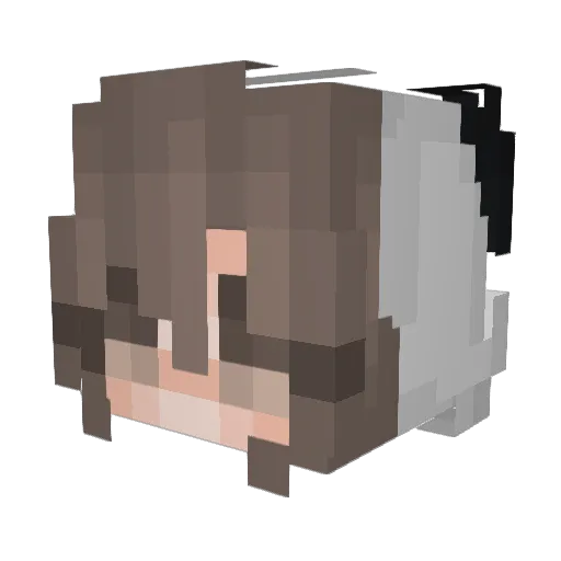_Jessoo_ Minecraft avatar head, 3D render