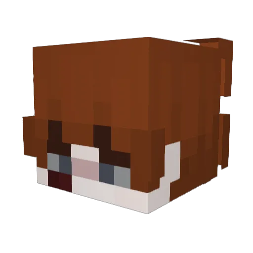 _Jesusfe_ Minecraft avatar head, 3D render