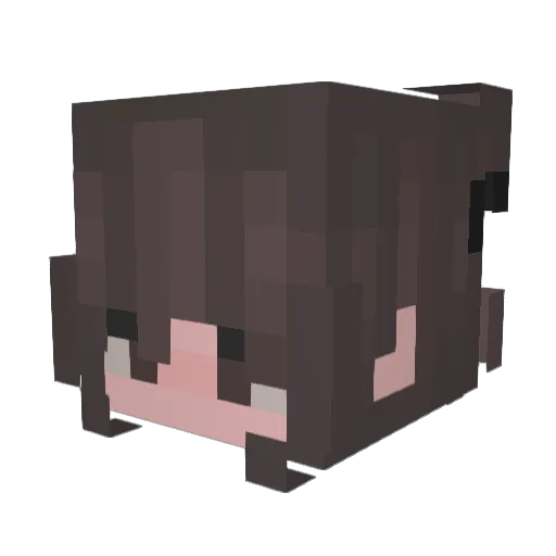 _Jigina Minecraft avatar head, 3D render