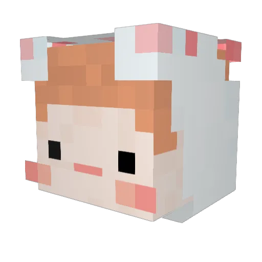 _Jiwoon_ Minecraft avatar head, 3D render