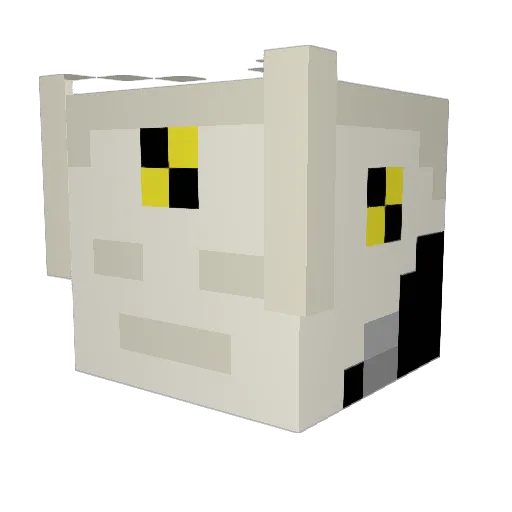 _JnThN_ Minecraft avatar head, 3D render