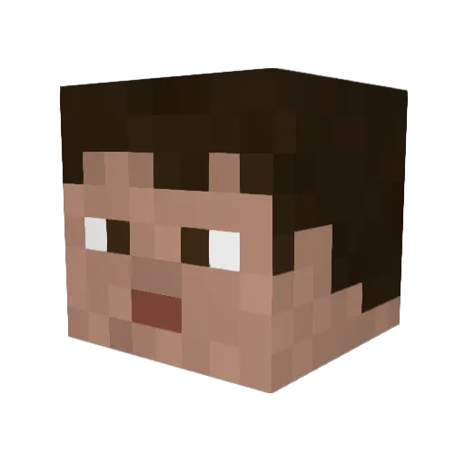 _Joebacca Minecraft avatar head, 3D render