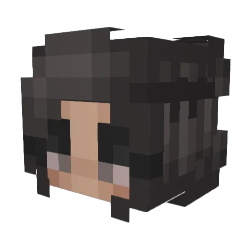 _Joelleke_ Minecraft avatar head, 3D render