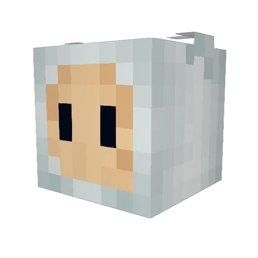 _Joeyman_ Minecraft avatar head, 3D render