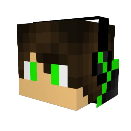 _Joeyy_1324 Minecraft avatar head, 3D render