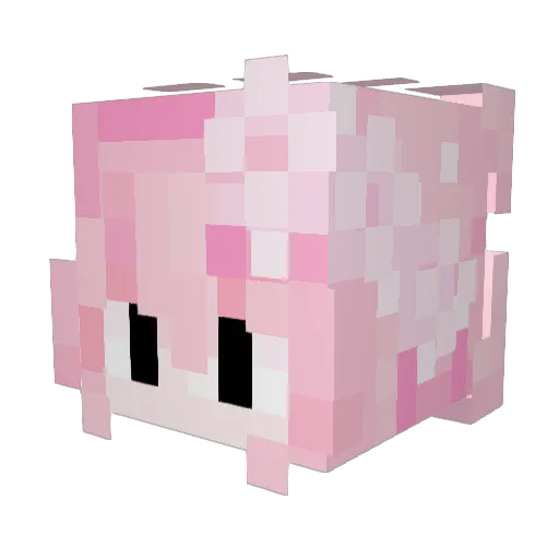 _Jona_Minecraft Minecraft avatar head, 3D render