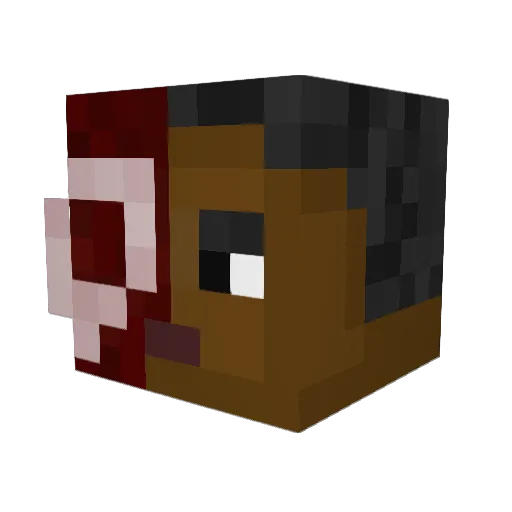 _Joris__ Minecraft avatar head, 3D render