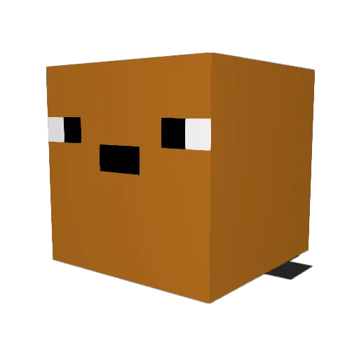 _JoshyPoo_ Minecraft avatar head, 3D render