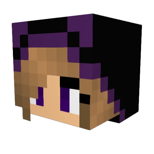 _Julia_1121 Minecraft avatar head, 3D render