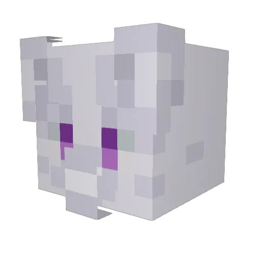 _JuneBug__ Minecraft avatar head, 3D render