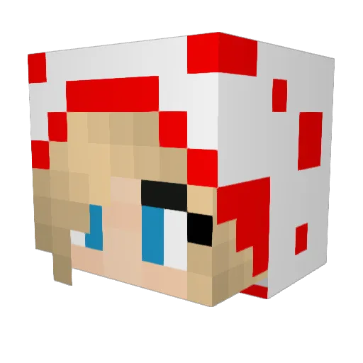 _Jung_ Minecraft avatar head, 3D render