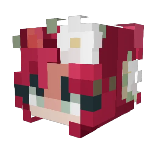_JustRenn_ Minecraft avatar head, 3D render