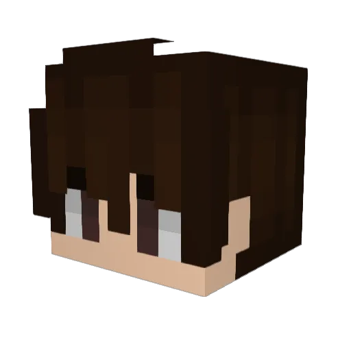 _Just_Ben Minecraft avatar head, 3D render