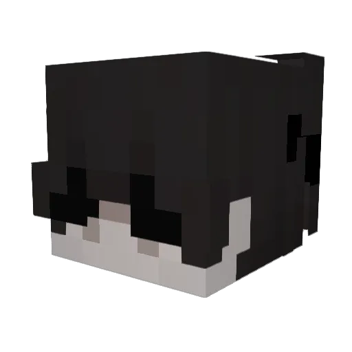 _KKAMIDZU_ Minecraft avatar head, 3D render
