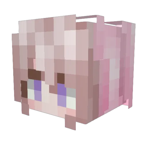 _KKN_ Minecraft avatar head, 3D render