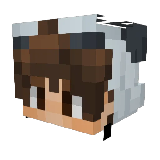 _Kaj_ Minecraft avatar head, 3D render