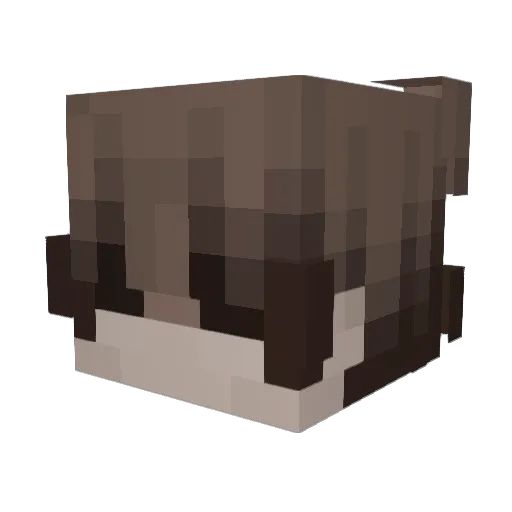 _Kalki_ Minecraft avatar head, 3D render