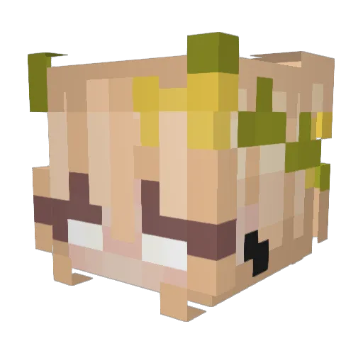 _Katerzs Minecraft avatar head, 3D render