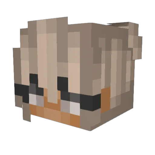 _KayleyShipp_ Minecraft avatar head, 3D render